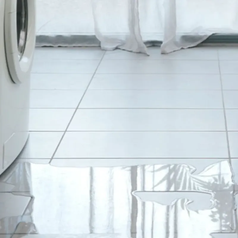 Appliance Leak Cleanup in Bristol, NH