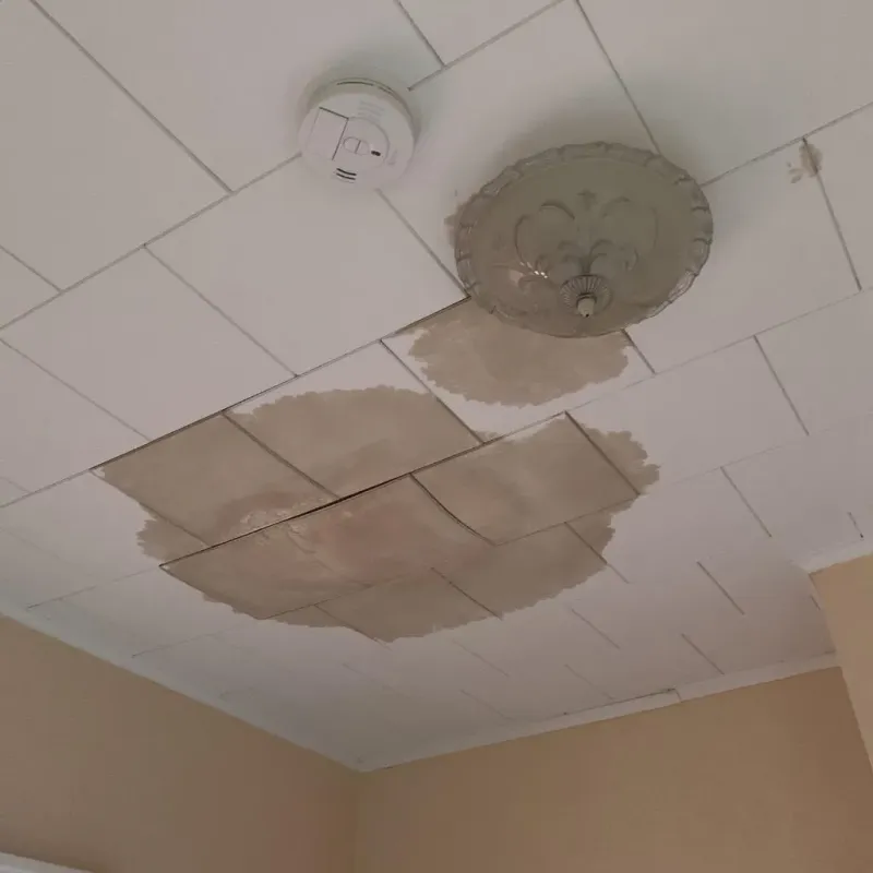 Ceiling Water Damage Repair in Bristol, NH
