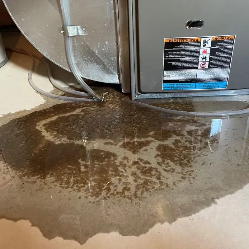 Pipe Burst and Leak Restoration in Bristol, NH